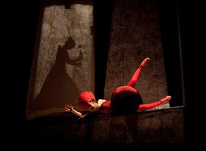 Nel bosco addormentato Aurora Tota Miriam Fieno - Bottega degli Apocrifi