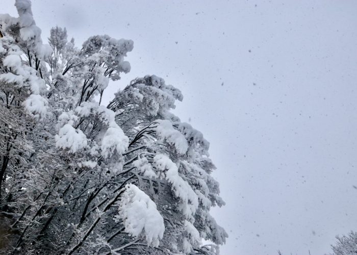 Nevicata dicembre
