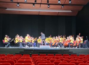 Orchestra Suzuki