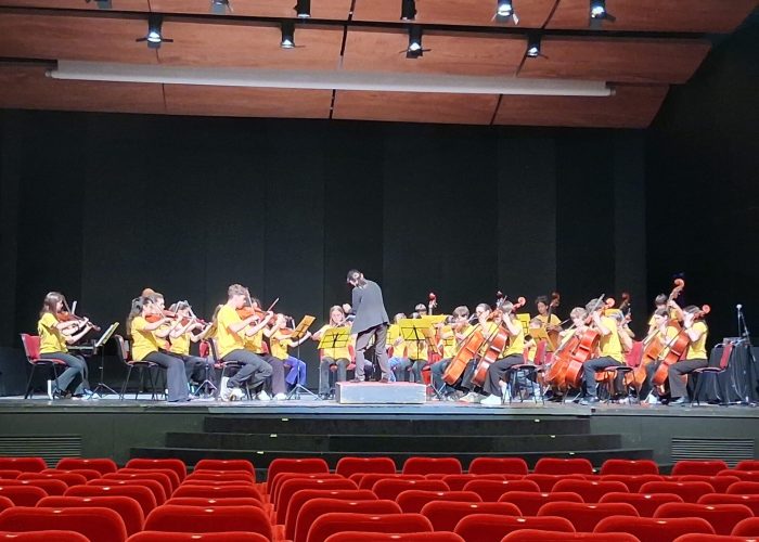 Orchestra Suzuki