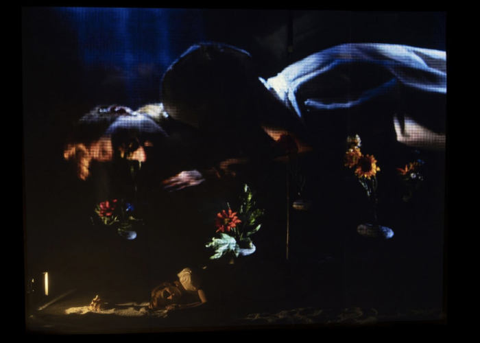 Penelope framedivision