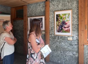 Presentazione pubblicazione Agricoltura e inaugurazioen mostra