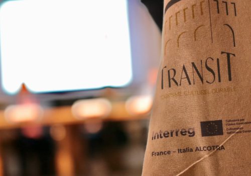 Progetto TransiT