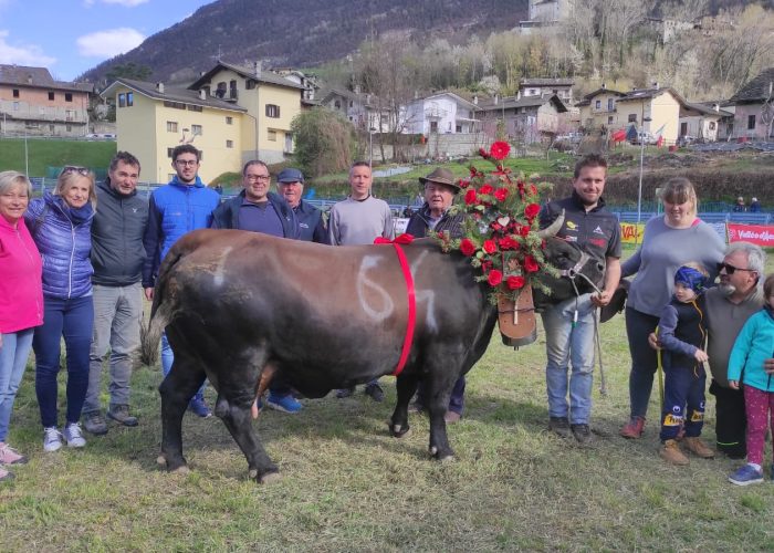 Briganda dell’azienda Verney di Gressan, terza all’ultima Regionale, ha vinto il titolo di prima categoria a Aymavilles