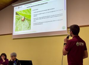 Incontro sulla scarabeo giapponese - Relatore Eric Grange