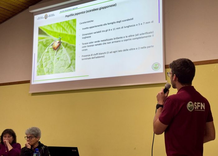 Incontro sulla scarabeo giapponese - Relatore Eric Grange