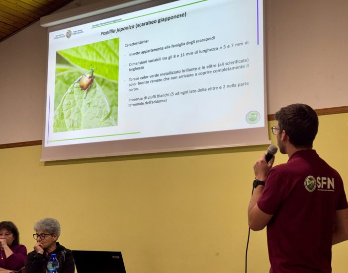 Incontro sulla scarabeo giapponese - Relatore Eric Grange