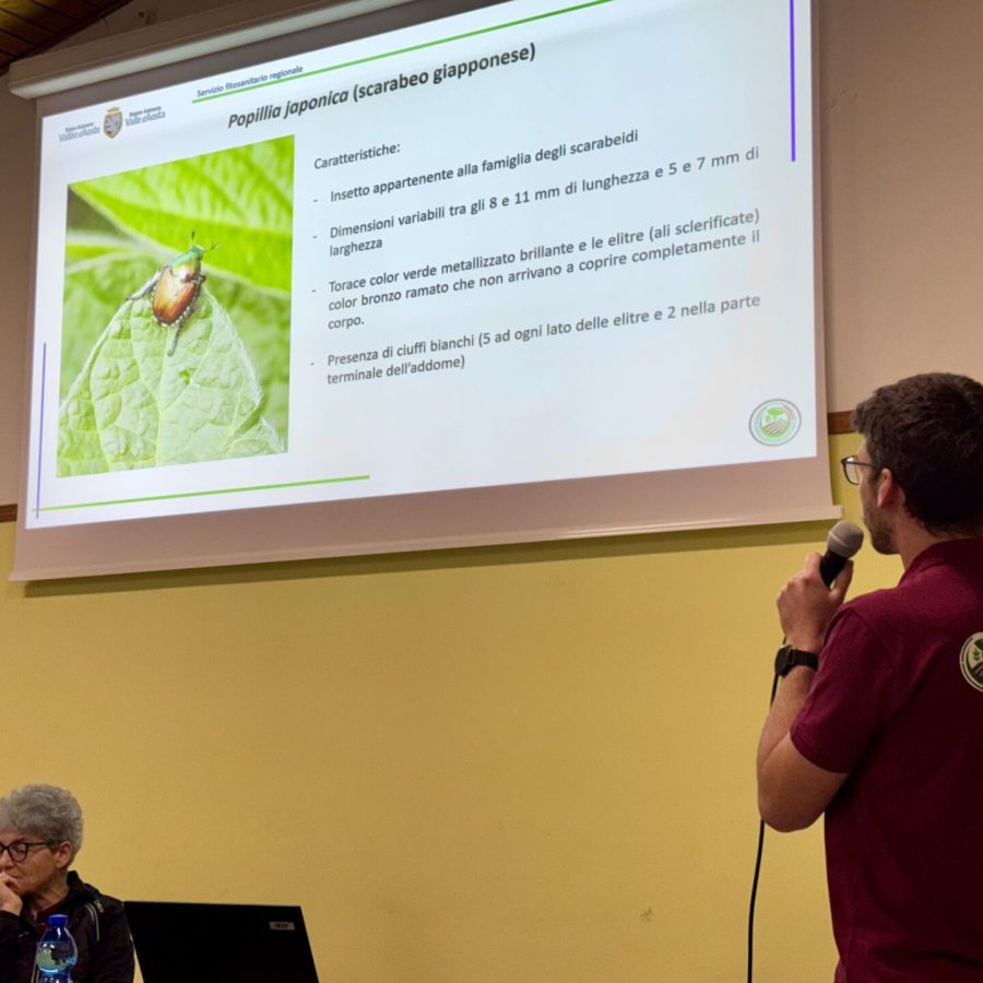 Incontro sulla scarabeo giapponese - Relatore Eric Grange