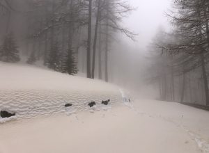 Sabbia Sahara Foto Ettore Personettaz