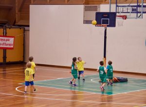 Sarre Basket