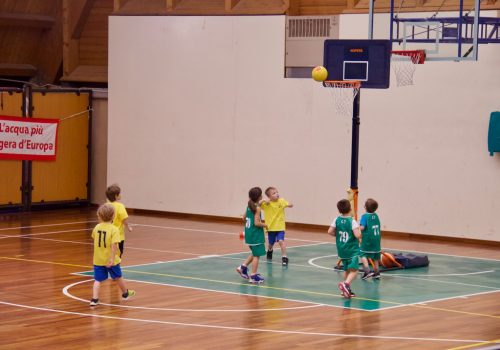 Sarre Basket