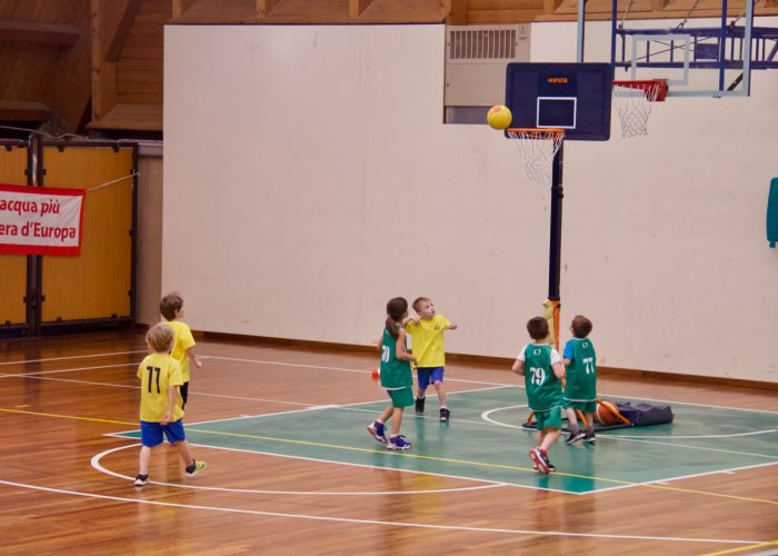 Sarre Basket