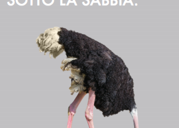 Tumori testa e collo