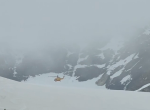 Intervento soccorso alpino valdostano sul Monte Rosa