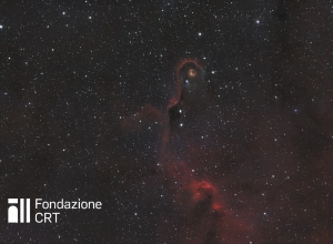 La nebulosa oscura vdB 142, detta Proboscide di elefante ripresa dalle piazzole dell’Osservatorio Astronomico della Regione Autonoma Valle d’Aosta. Cortesia Francesco Soldano per la Fondazione C. Fillietroz-ONLUS