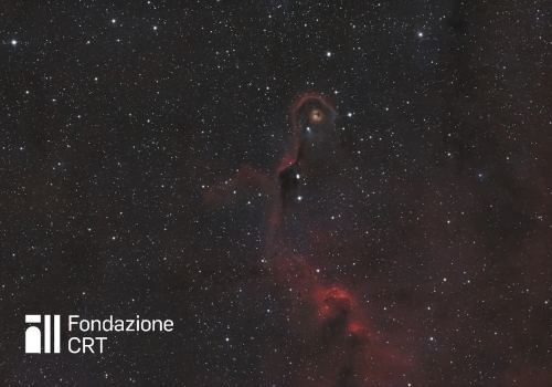 La nebulosa oscura vdB 142, detta Proboscide di elefante ripresa dalle piazzole dell’Osservatorio Astronomico della Regione Autonoma Valle d’Aosta. Cortesia Francesco Soldano per la Fondazione C. Fillietroz-ONLUS