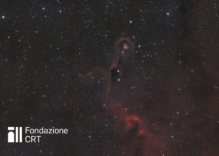 La nebulosa oscura vdB 142, detta Proboscide di elefante ripresa dalle piazzole dell’Osservatorio Astronomico della Regione Autonoma Valle d’Aosta. Cortesia Francesco Soldano per la Fondazione C. Fillietroz-ONLUS