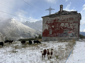 neve piccolo san bernardo