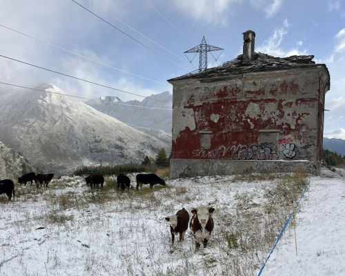 neve piccolo san bernardo