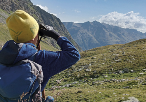Trekking Nature 2025