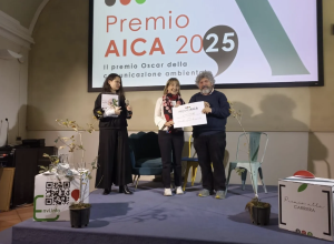 La cerimonia di consegna del Premio Aica ad Anso