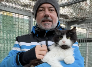 Adotta un amico - il gatto Dybala