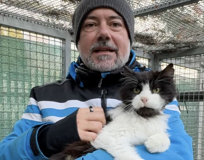 Adotta un amico - il gatto Dybala