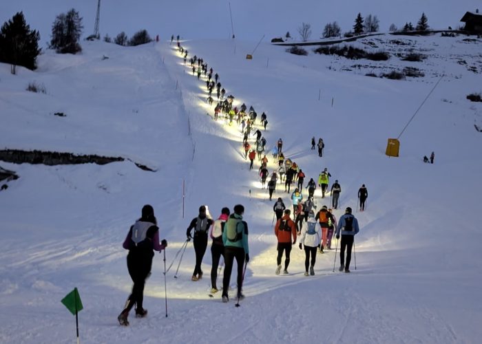 Snow Vertikal Chamois ()