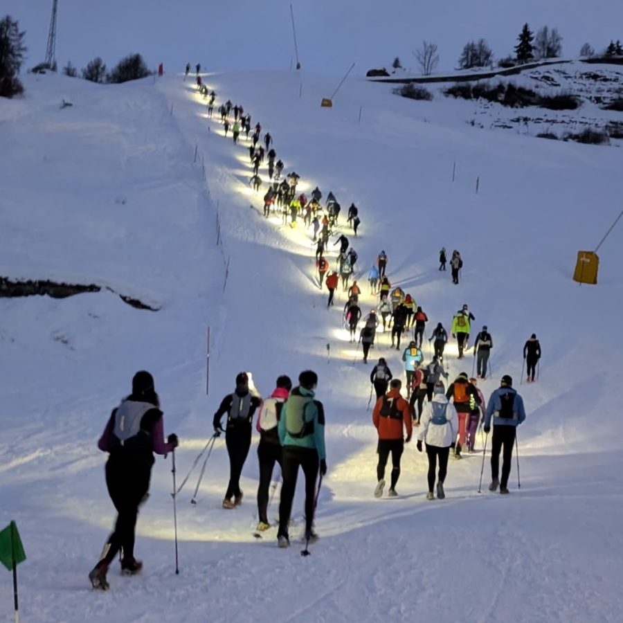 Snow Vertikal Chamois ()