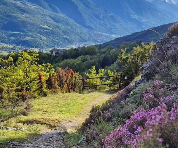 Soiree Vertikal Grimpette de l Arboretum Verrayes foto instagram