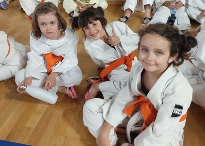 Stade Judo Club