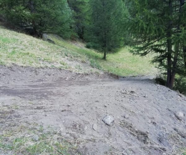 Strada Pian Della Cretetta Cogne