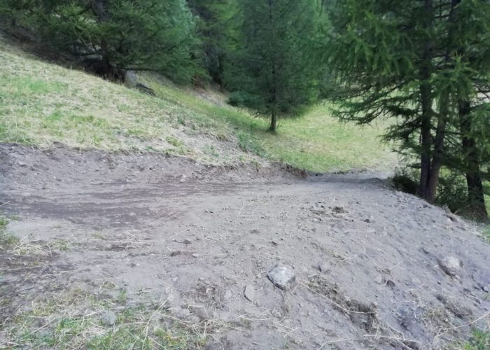 Strada Pian Della Cretetta Cogne