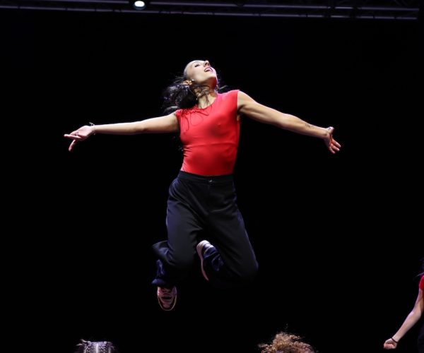 T*Danse - photo credits Daniele Chatrian