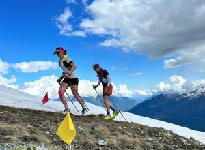 Torgnon Pink Trail