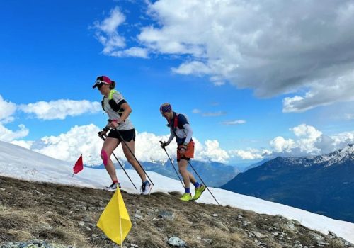 Torgnon Pink Trail