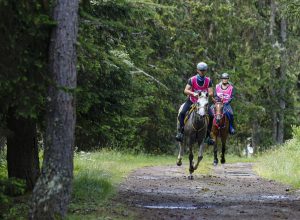 Torgnon endurance 2024 - Foto Moreno Vignolini