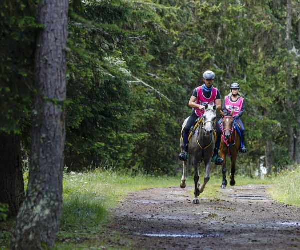 Torgnon endurance 2024 - Foto Moreno Vignolini