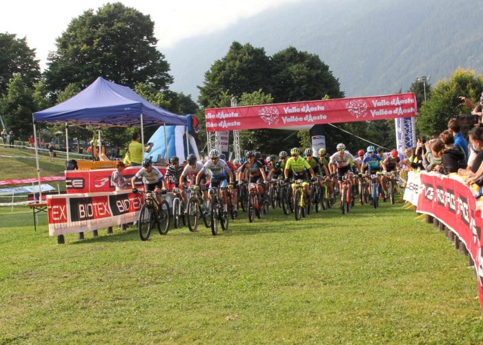 Tour des Salasses