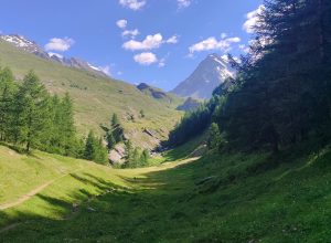 Trekking escursioni camminate montagna Ollomont