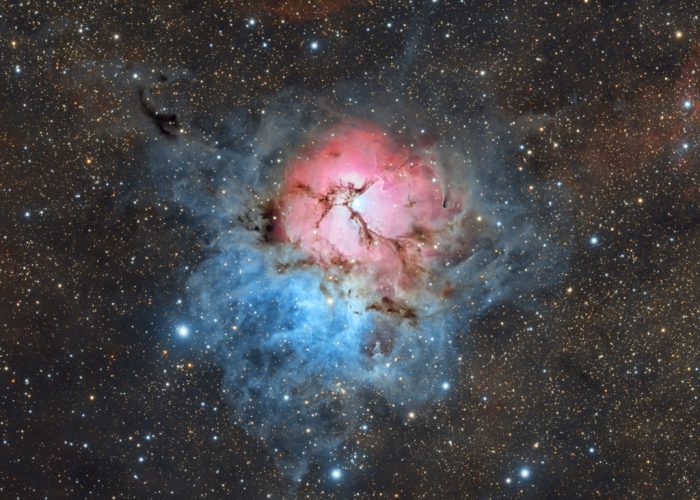 A Beautiful Trifid Image Credit e Copyright: Alessandro Cipolat Bares