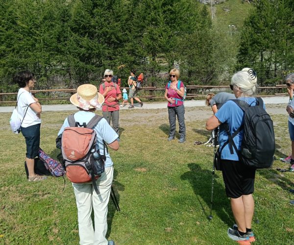 Unité in movimento