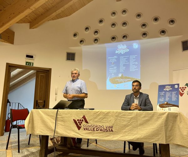 Vini in vigna