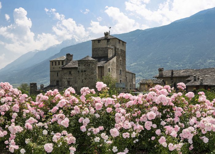 VALLE DAOSTA Sarriod de La Tour foto Enrico Romanzi