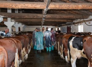 © Ufficio Stampa Regione Autonoma Valle d'Aosta