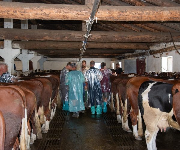 © Ufficio Stampa Regione Autonoma Valle d'Aosta