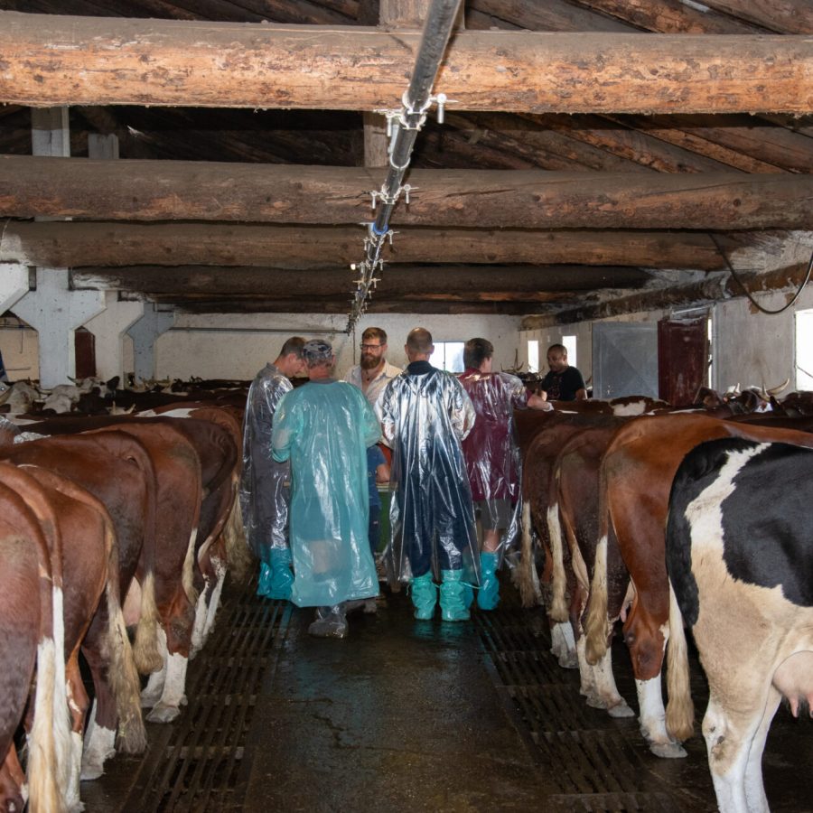 © Ufficio Stampa Regione Autonoma Valle d'Aosta