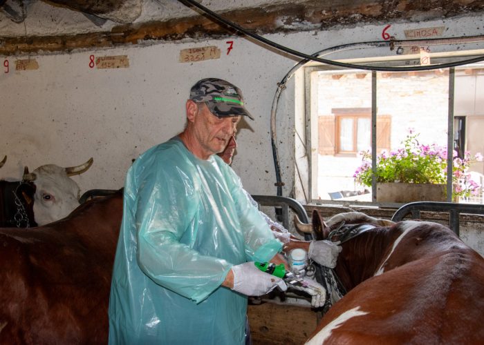 © Ufficio Stampa Regione Autonoma Valle d'Aosta