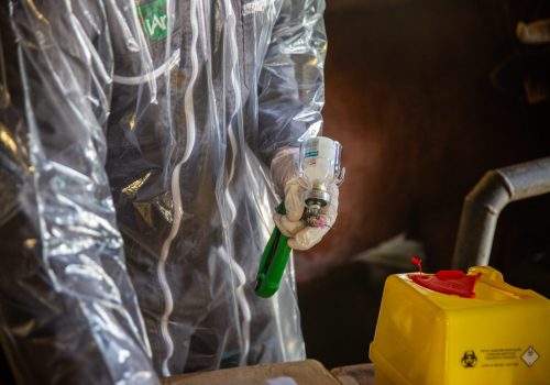 Vaccinazione bovini dermatite nodulare Alpeggio Morge (La Salle) Ph Nicole Jocollé