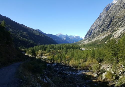 Val Ferret